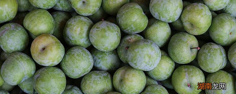 青奈李的功效 青皮奈李的功效与作用