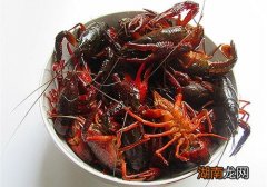 吃了小龙虾全身痒怎么回事 哪些人吃小龙虾容易全身发痒