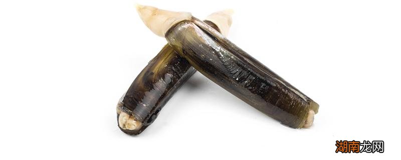 白竹蛏怎么做好吃 白竹蛏怎么清洗处理