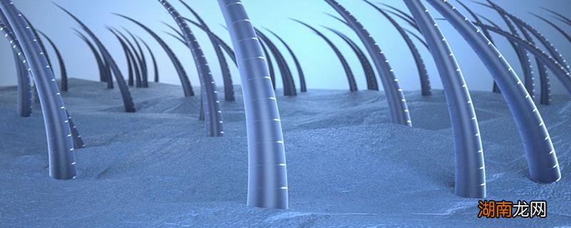 腿毛有什么用 腿毛可以刮吗