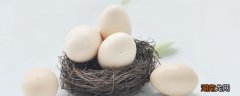 鸽子蛋和鸡蛋哪个营养价值更高 鸽子蛋的营养价值及功效