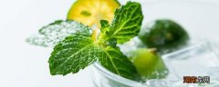 新鲜薄荷叶的吃法禁忌是 新鲜薄荷叶的吃法禁忌