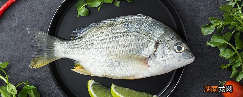 龙利鱼可以做鱼丸吗怎么做 龙利鱼可以做鱼丸吗