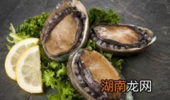 鲍鱼变硬后怎么食用 鲍鱼变硬还能吃吗