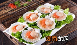 扇贝最简单的吃法 扇贝最简单的吃法视频