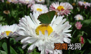 温柔干净的网名有哪些 温柔干净的网名有哪些男生