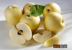 雪梨是凉性还是热性