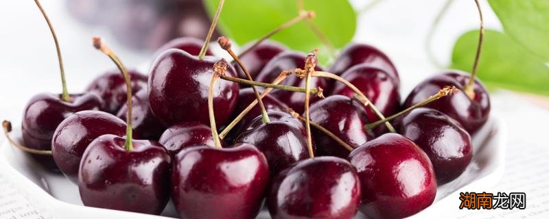 车厘子要放冰箱冷藏吗 车厘子要用盐水浸泡吗