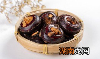 马蹄爽是什么水果 马蹄爽是什么