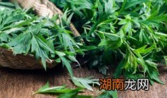 艾叶怎么煮水洗澡 艾叶怎么煮