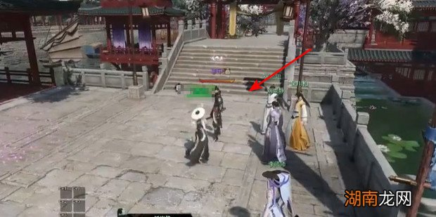 逆水寒奇遇任务稀奇鸟笼怎么做