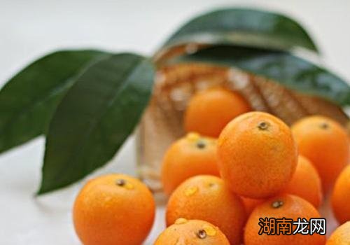 金桔不能和什么一起吃 金桔的禁忌人群