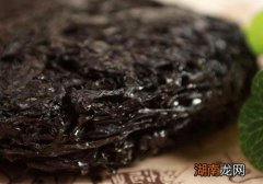 紫菜和海苔有什么区别