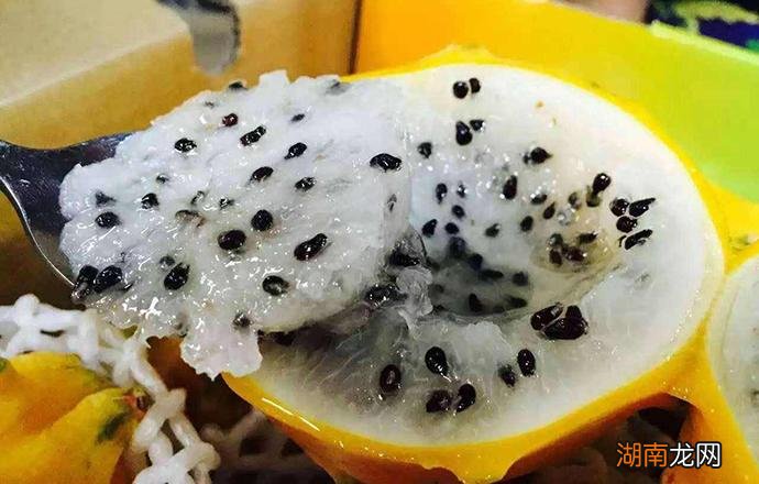 燕窝果有什么营养功效 燕窝果有什么营养