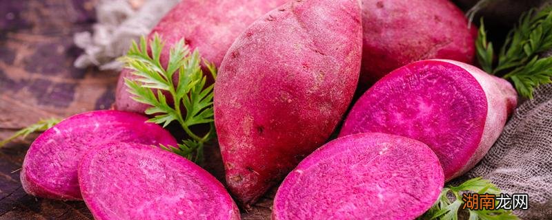 紫薯减肥能吃吗 紫薯和红薯哪个更减肥