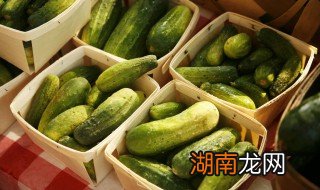 泡黄瓜的做法甜酸脆 泡黄瓜的做法