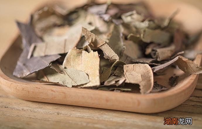 柿子叶泡水喝有什么危害 柿子叶怎么泡水喝效果更佳