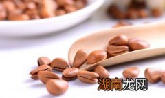 怎样把生松子炒熟