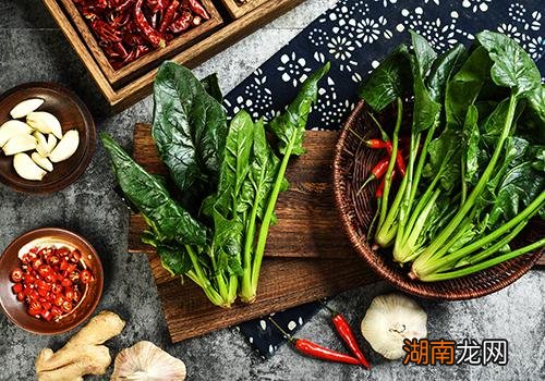 菠菜没熟可以吃吗 菠菜没熟吃了会有毒吗