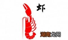 常吃虾好不好 虾的功效