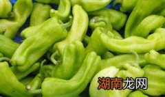 青椒炒肥肠的家常做法窍门 青椒炒肥肠的家常做法