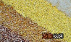 小米和小黄米有什么区别 小米和小黄米的区别介绍