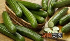 拍手黄瓜怎么做 手拍黄瓜做法是什么