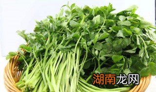 金花菜怎么炒才会嫩嫩的 金花菜怎么炒才会嫩