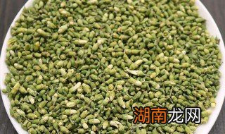 槐花茶的功效与作用主治是什么 槐花茶的功效与作用