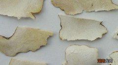 粉萆薢的功效与作用及禁忌 粉萆薢的功效与作用