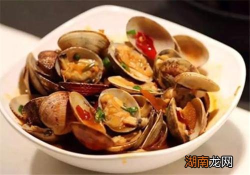 花蛤的功效与作用