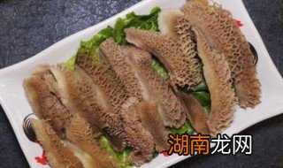 为什么牛肚越煮越硬 牛肚为什么一煮就烂