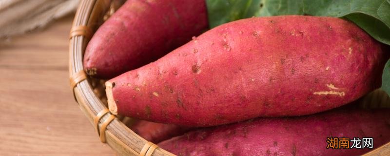 煮红薯多长时间 煮熟的红薯放三天还能吃吗