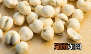 川贝的做法 川贝怎么做