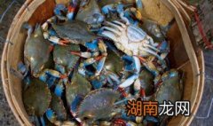 活螃蟹要怎么保存多久 活螃蟹怎样保存时间长