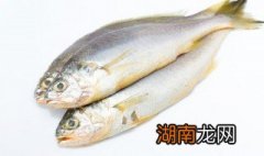 简单的家常鱼的做法 家常鱼的简易做法大全