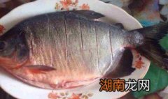 红鲳鱼的家常做法视频教程 红鲳鱼的家常做法