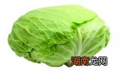 肉末炒卷心菜窍门 肉末炝炒圆白菜的做法