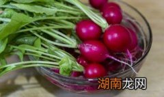 怎样凉拌红皮小萝卜 红皮萝卜怎么凉拌好吃