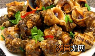 海螺怎么煮多长时间能熟 海螺怎么煮多长时间