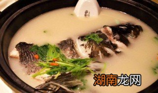 营养鲫鱼汤的做法大全 鲫鱼养生汤的家常制作方法