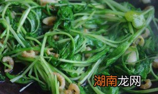 小白菜烧虾米怎么做 小白菜烧虾米怎么做好吃