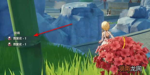 璃月港霓裳花在哪里采集