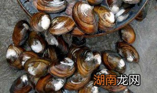 北方河蚌怎么做 北方河蚌制作教程