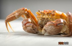 螃蟹与西瓜能同吃吗 螃蟹不能和什么一起吃