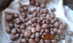 小山药豆怎么做好吃 小山药豆怎么做好吃儿童