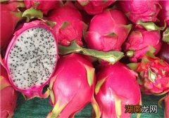 火龙果是凉性还是热性 火龙果哪些人不适合吃