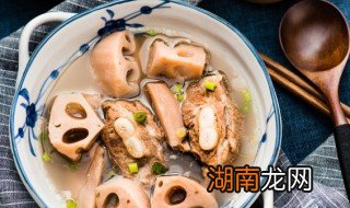 藕的英语怎么读音发音 藕的英语怎么读