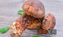 黄油煎新鲜松茸的做法 如何做黄油煎新鲜松茸