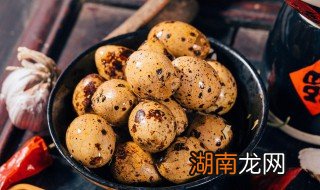 煮白鹌鹑蛋的正确方法